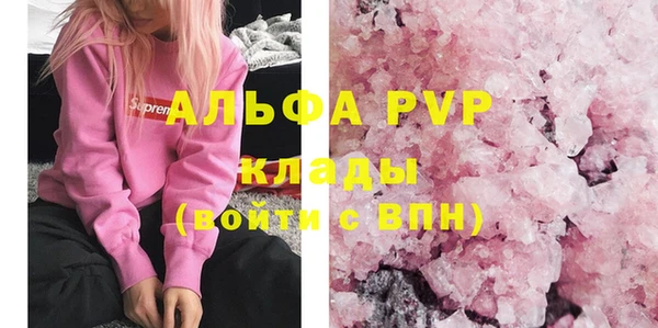 бошки Белокуриха