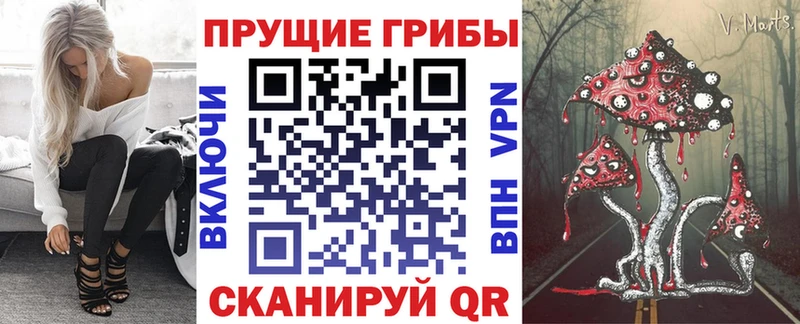 Галлюциногенные грибы прущие грибы закладки Высоковск